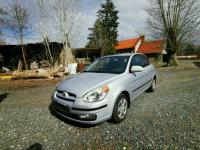 Amotizor hyundai accent 2009